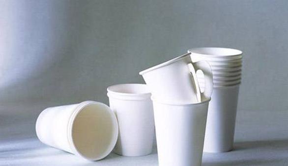 桉树制生物塑料杯或将取代传统一次性纸杯