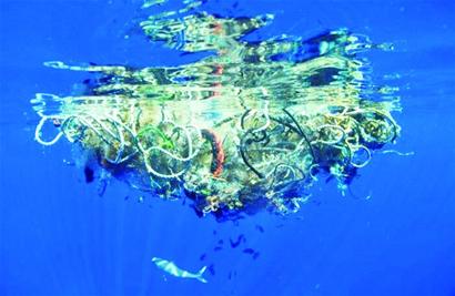 "中德海洋塑料污染研讨会"在岛城召开