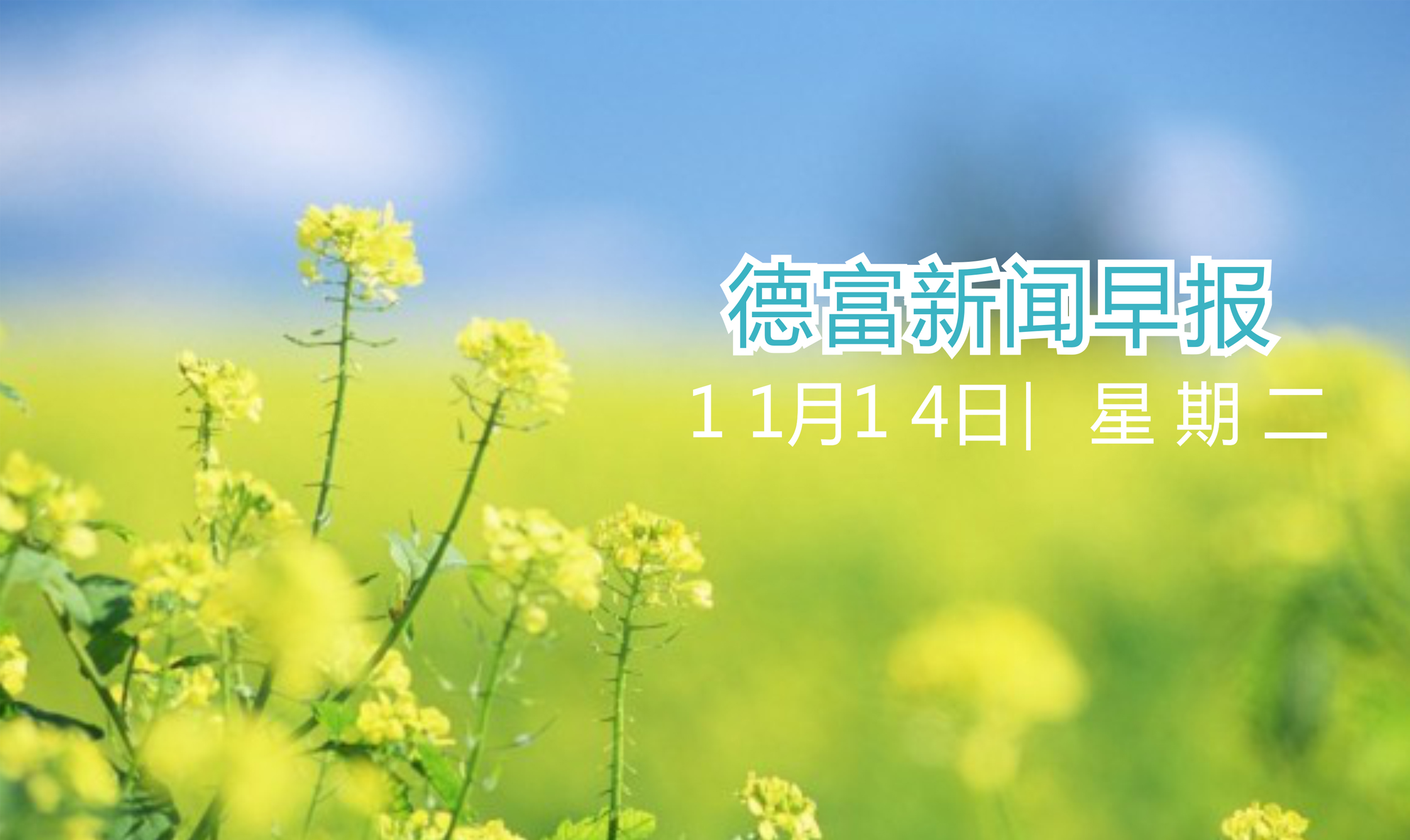 未标题-1.jpg