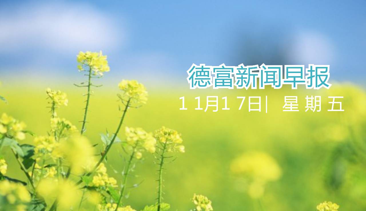 微信图片_20171117102641.jpg