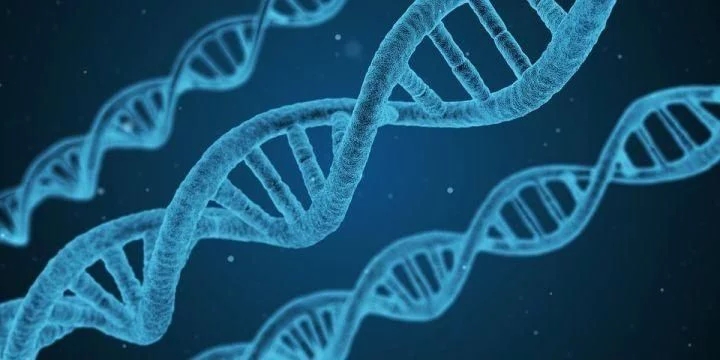 韩国延世大学制造出有机薄膜 可用于癌症治疗和健康监测