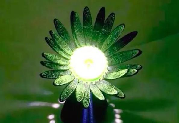 想让这朵3D打印塑料花自动绽放 只需将它暴露在光中