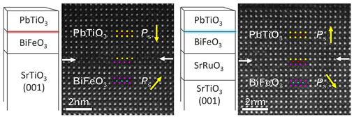 铁电薄膜同/异质界面研究取得新突破