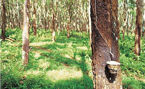锦湖石化正逐步扩大合成树脂生产 