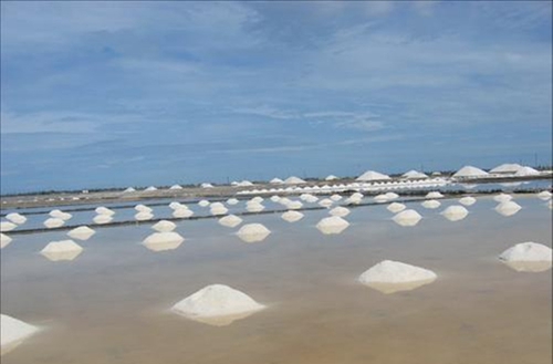 中国食盐发现塑料微粒