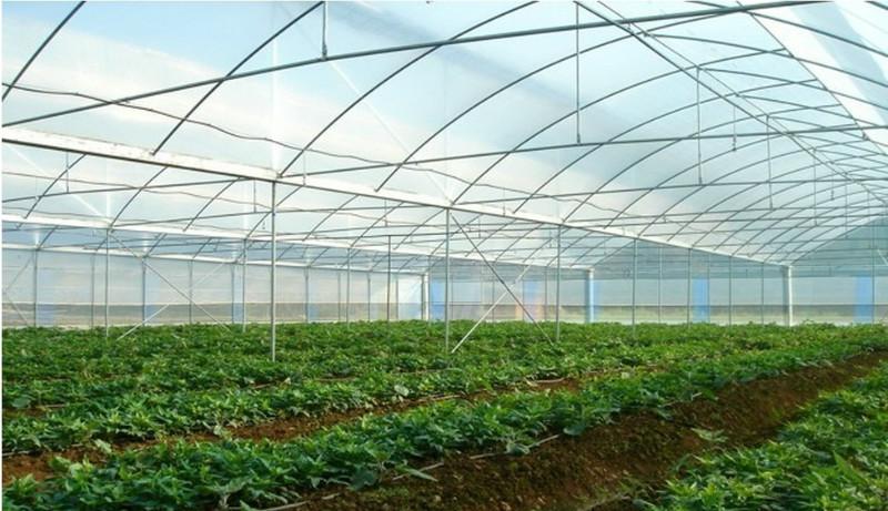 中国德富塑料网最新资讯：塑料薄膜生产企业可运用移动互联网发展