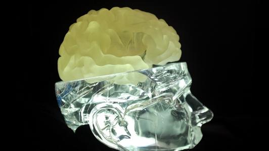 中国德富塑料网最新资讯：医生借助3D打印技术成功实施脑部手术