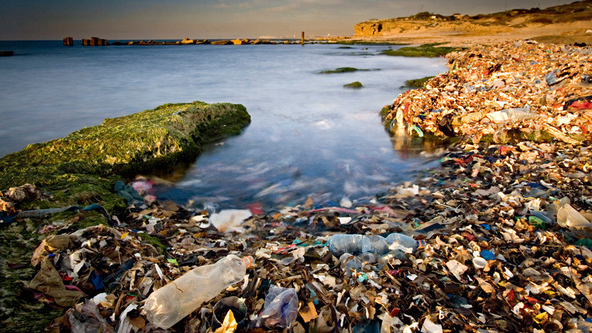 中国德富塑料网最新资讯：令人窒息的海洋塑料垃圾