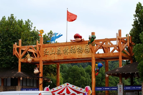 南京红山动物园塑料动物展引关注