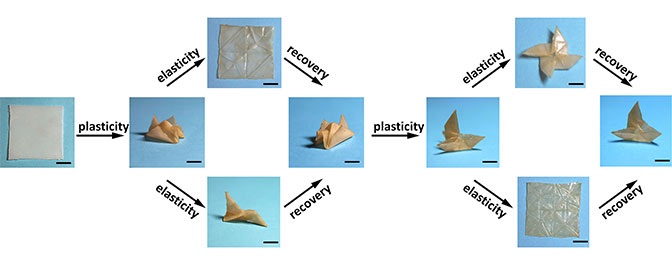 中国德富塑料网最新资讯：一种能够“记住”自己原始形状的聚合物