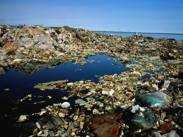 中国德富塑料网最新资讯：三大方法解决海洋塑料垃圾