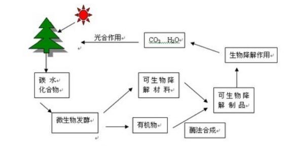 中国德富塑料网最新资讯：研发团队将致力缩短塑料降解时间