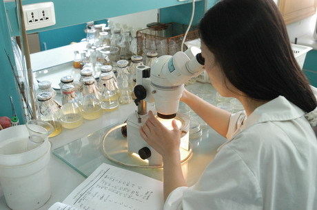 中国德富塑料网最新资讯：微生物降解塑料技术效率获得大幅提升