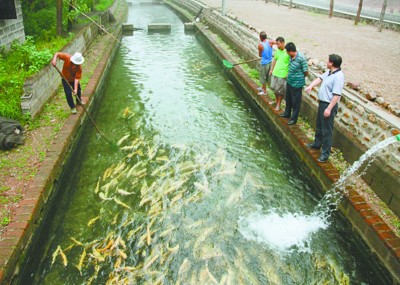 中国德富塑料网最新资讯：橡胶废水变成宝 可灌溉可养鱼