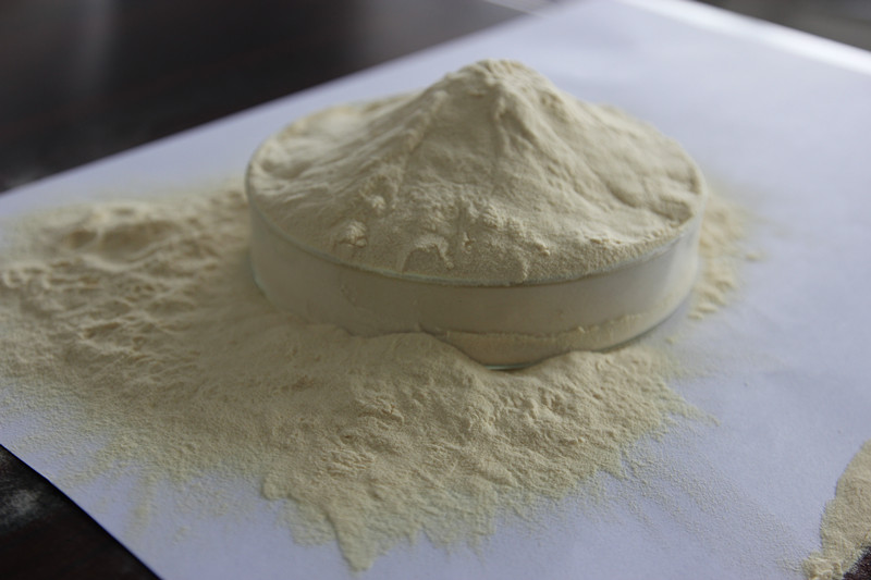 中国德富塑料网最新资讯：拒绝塑料星球 植物蛋白助其降解