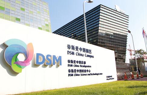 【中国德富塑料网】帝斯曼改性材料产能将提高40%