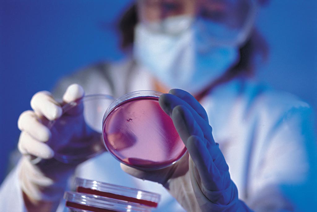 【中国德富塑料网】高分子新材料与生物基可降解塑料潜力无限
