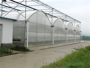 塑料大棚薄膜一般能寿命多久