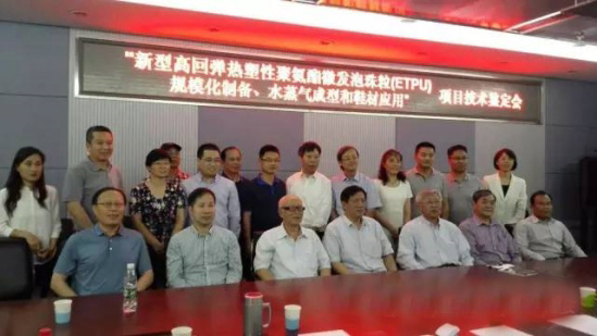 【中国德富塑料网】ETPU关键技术通过鉴定 填补国内空白