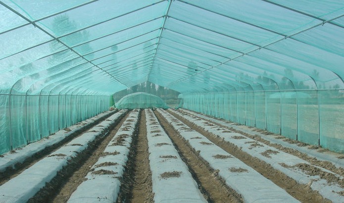 【中国德富塑料网】农用塑料大棚膜标准有利于行业迅速发展