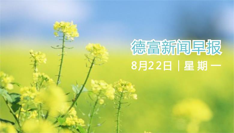 【PE塑料】8月22日南京PE市场报价整理