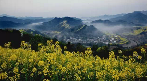 湖南开启全程机械化种植时代
