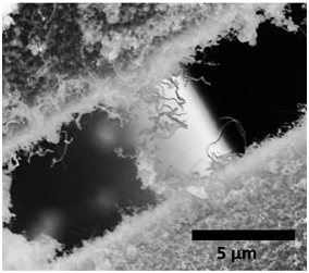 莱斯大学与NASA合作开发碳化硅“fuzzy纤维” 