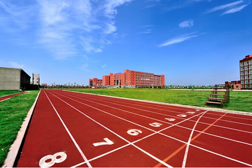 湖北将发布塑胶跑道建设标准